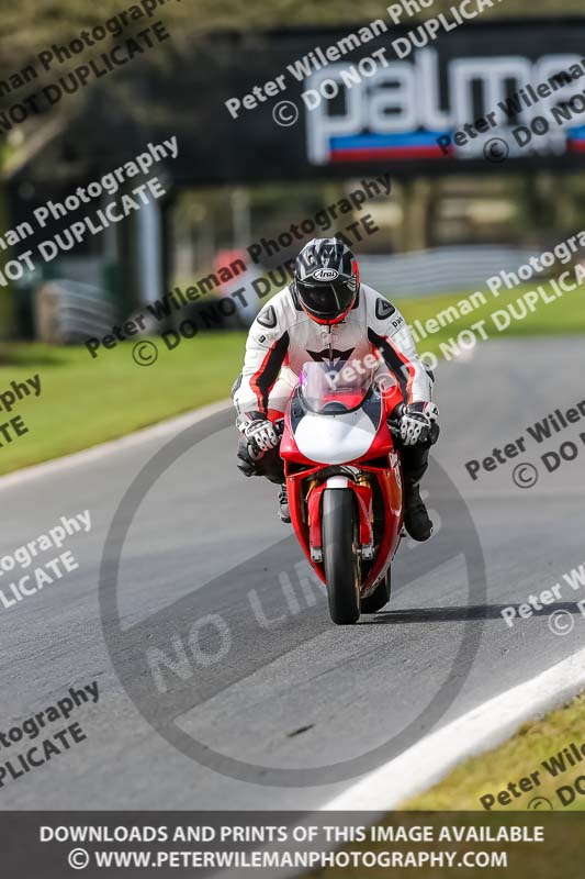 Oulton Park 21st March 2020;PJ Motorsport Photography 2020;anglesey;brands hatch;cadwell park;croft;donington park;enduro digital images;event digital images;eventdigitalimages;mallory;no limits;oulton park;peter wileman photography;racing digital images;silverstone;snetterton;trackday digital images;trackday photos;vmcc banbury run;welsh 2 day enduro